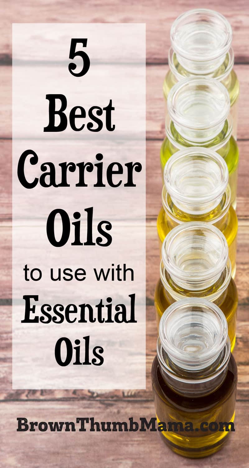 The 5 Best Carrier Oils for Essential Oils - Brown Thumb Mama®